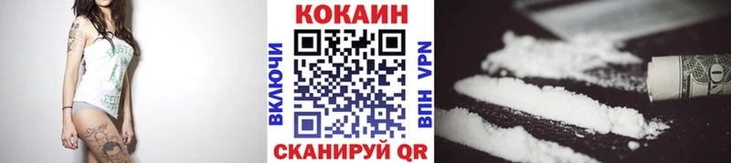 Купить закладки  Красный Кут  COCAIN FishScale 