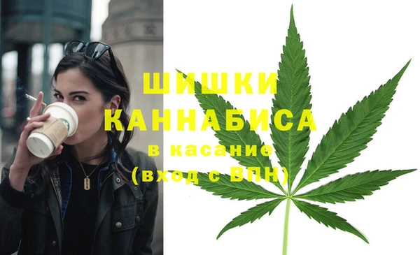 шишки Вяземский