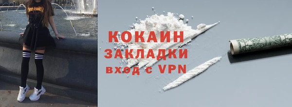 шишки Вяземский