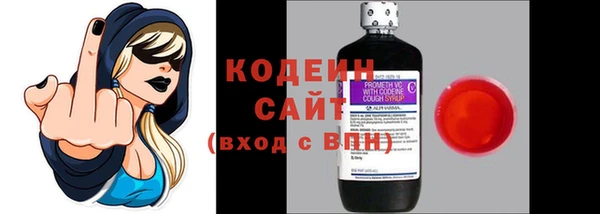 шишки Вяземский