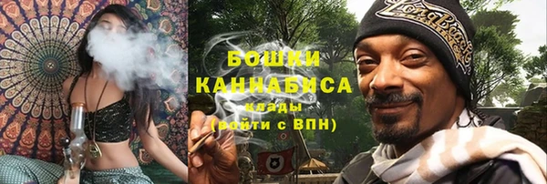 шишки Вяземский