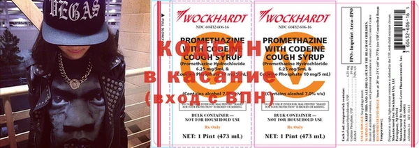 шишки Вяземский