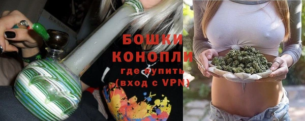шишки Вяземский