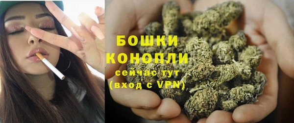 шишки Вяземский