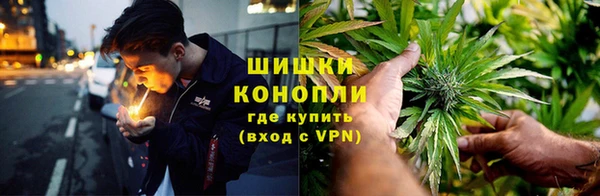 шишки Вяземский