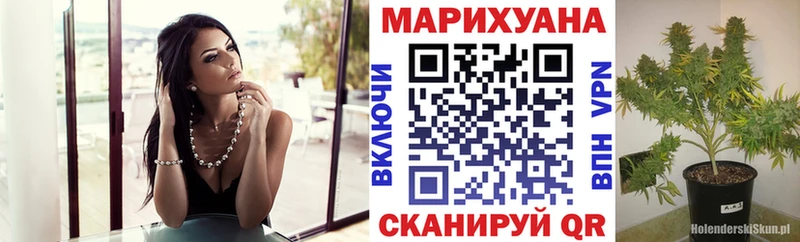 Бошки марихуана марихуана  Купить закладки  Красный Кут 
